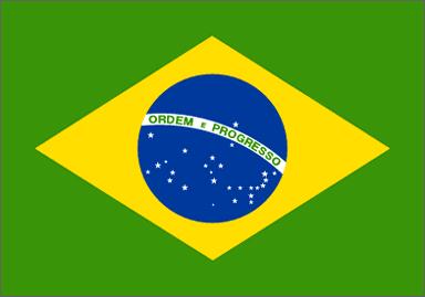 Lotta all'evasione:lezione dal Brasile 