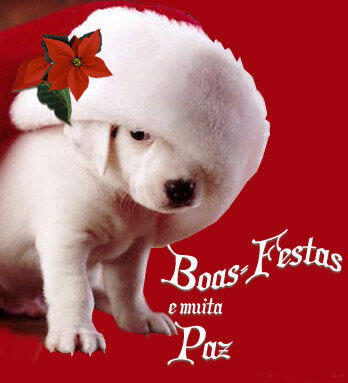 BOAS FESTAS 