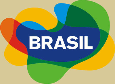 Export Brasile: Rischi e Opportunità 