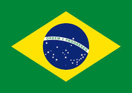  /public/news/529/brasile-bandiera.jpg 